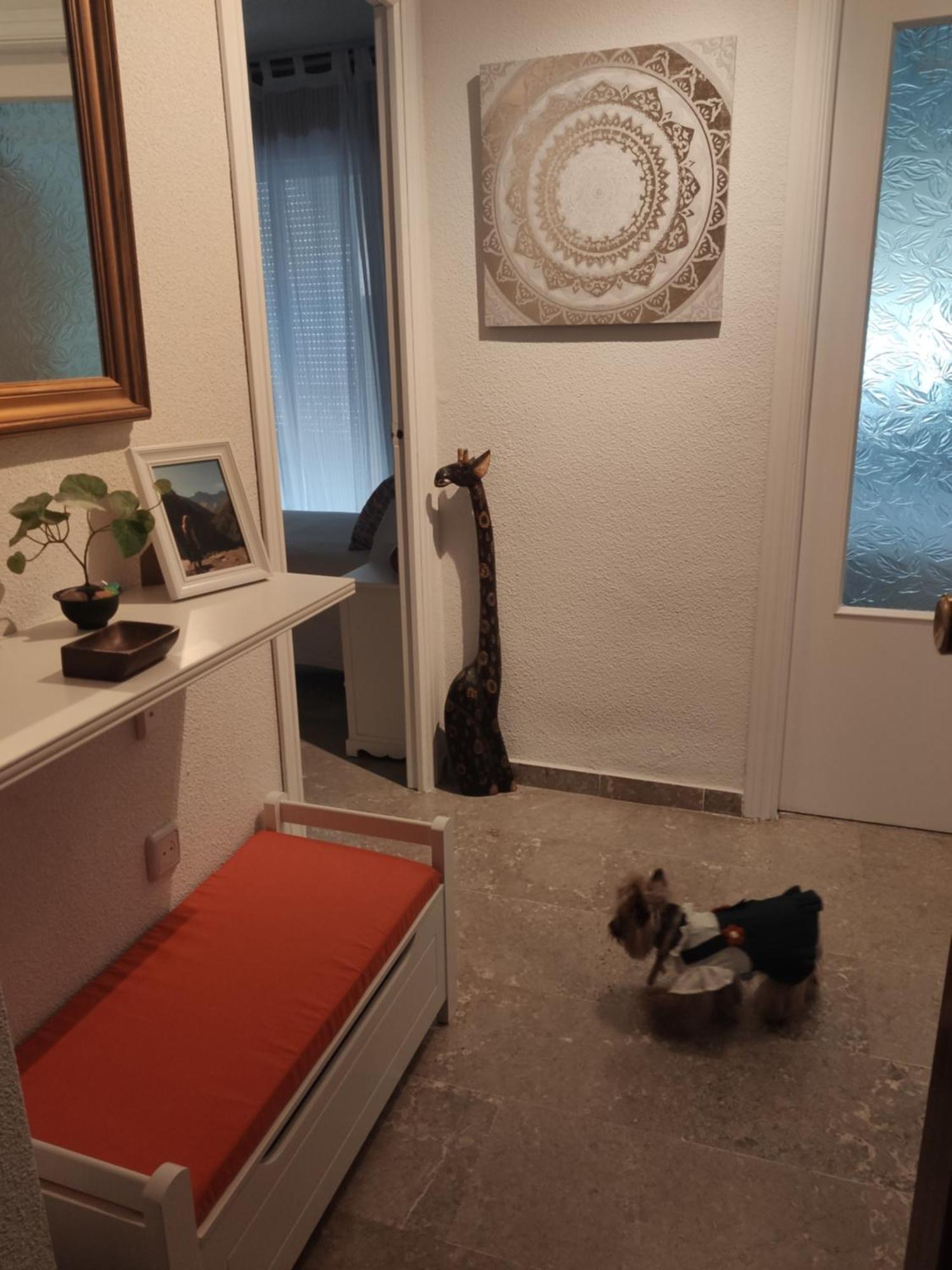 Apartamento Tropicana 1° Linea Almuñécar Kültér fotó