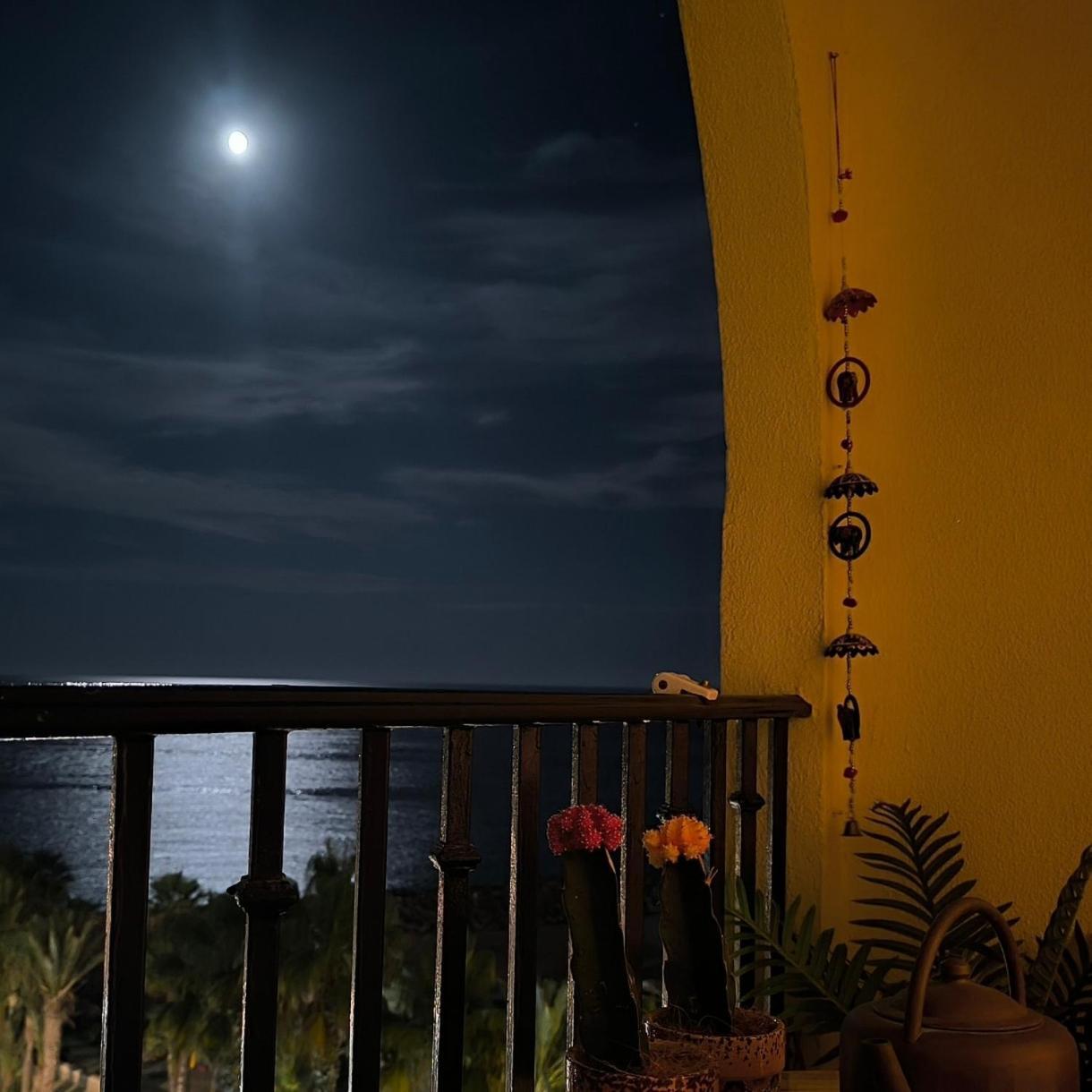 Apartamento Tropicana 1° Linea Almuñécar Kültér fotó
